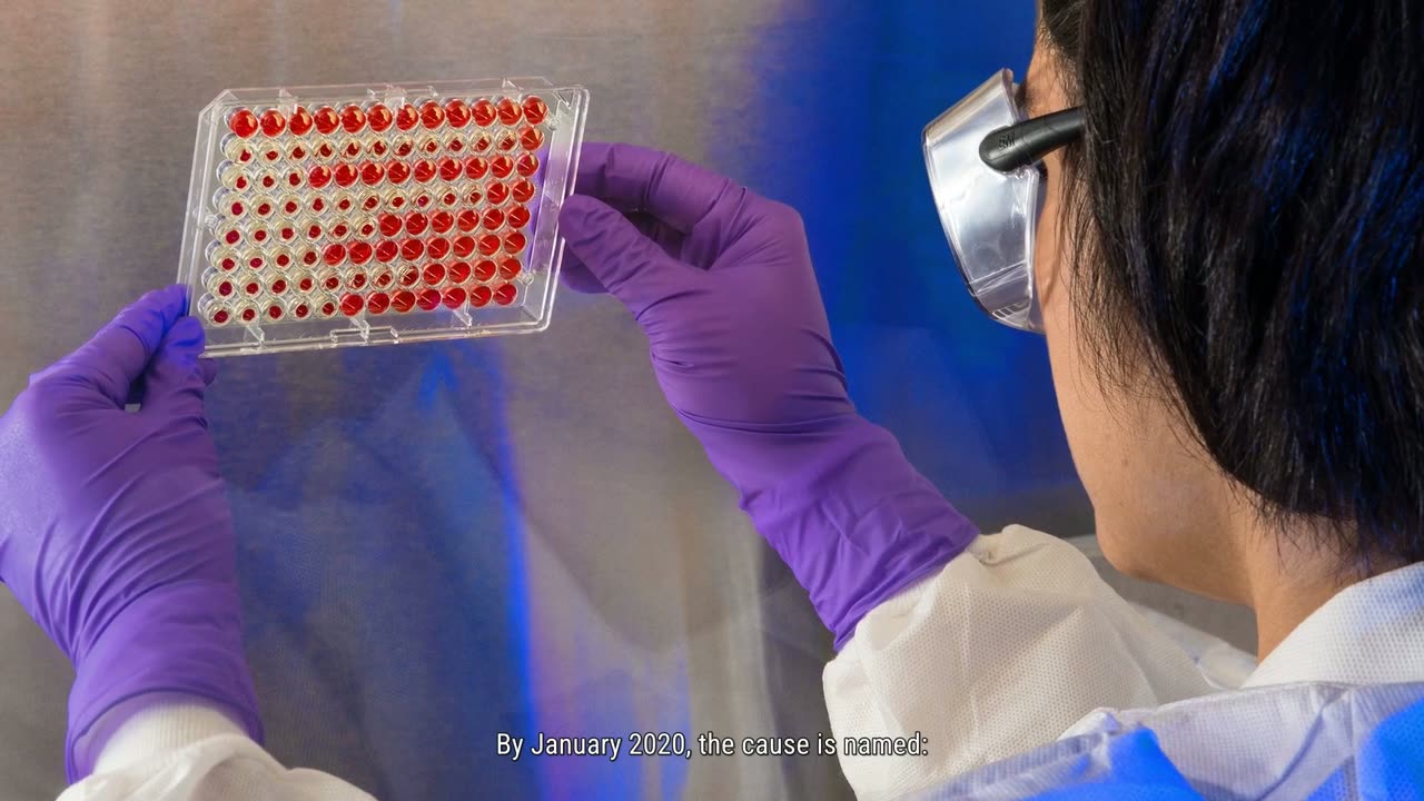 Stock Footage Documentary - a sample frame